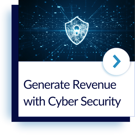 Generate Revenue with Cyber security