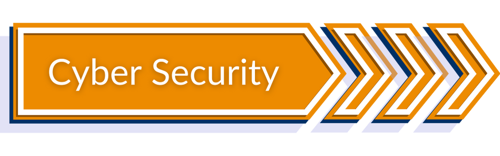Cyber security-Flash Networks