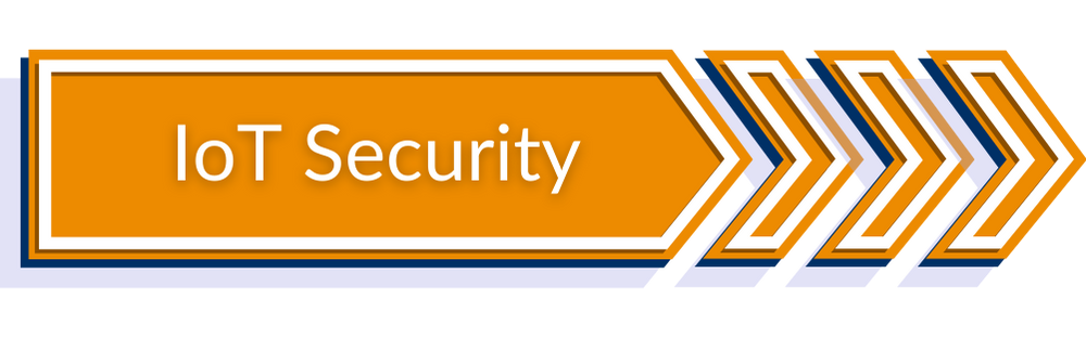 iot security-Flash Networks